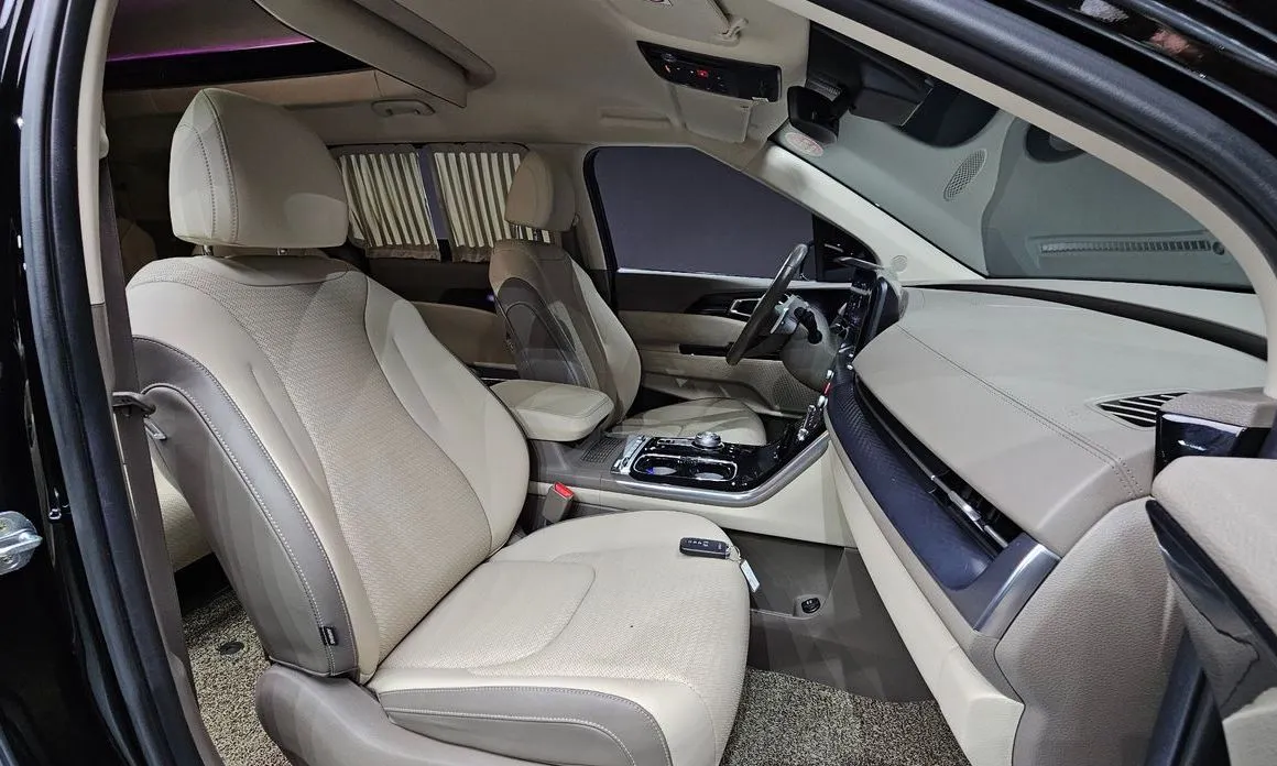 Kia Carnival — фото 10