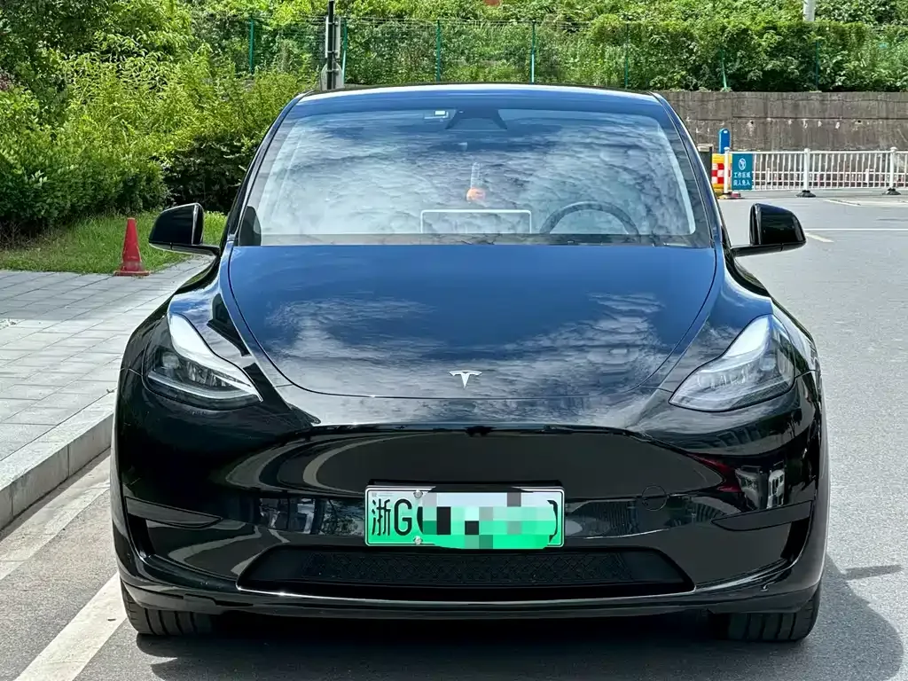 Tesla Model Y — фото 1