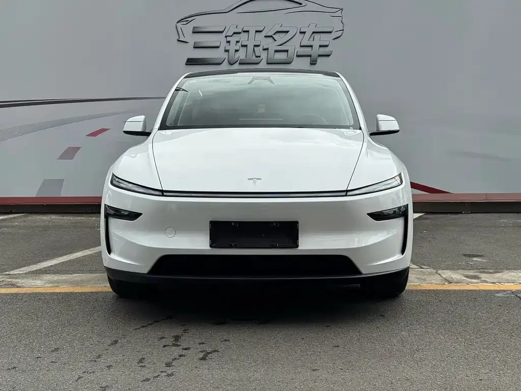 Tesla Model Y — фото 5