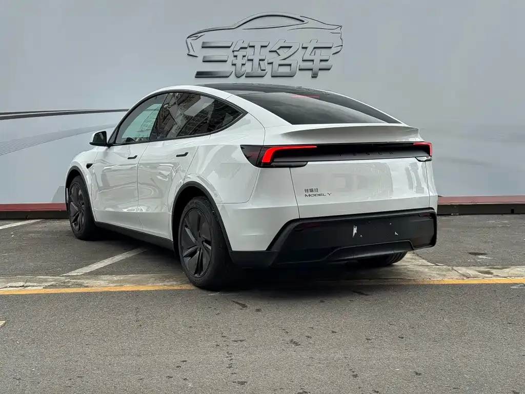Tesla Model Y — фото 2