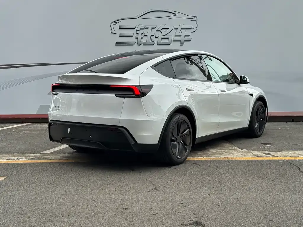 Tesla Model Y — фото 6