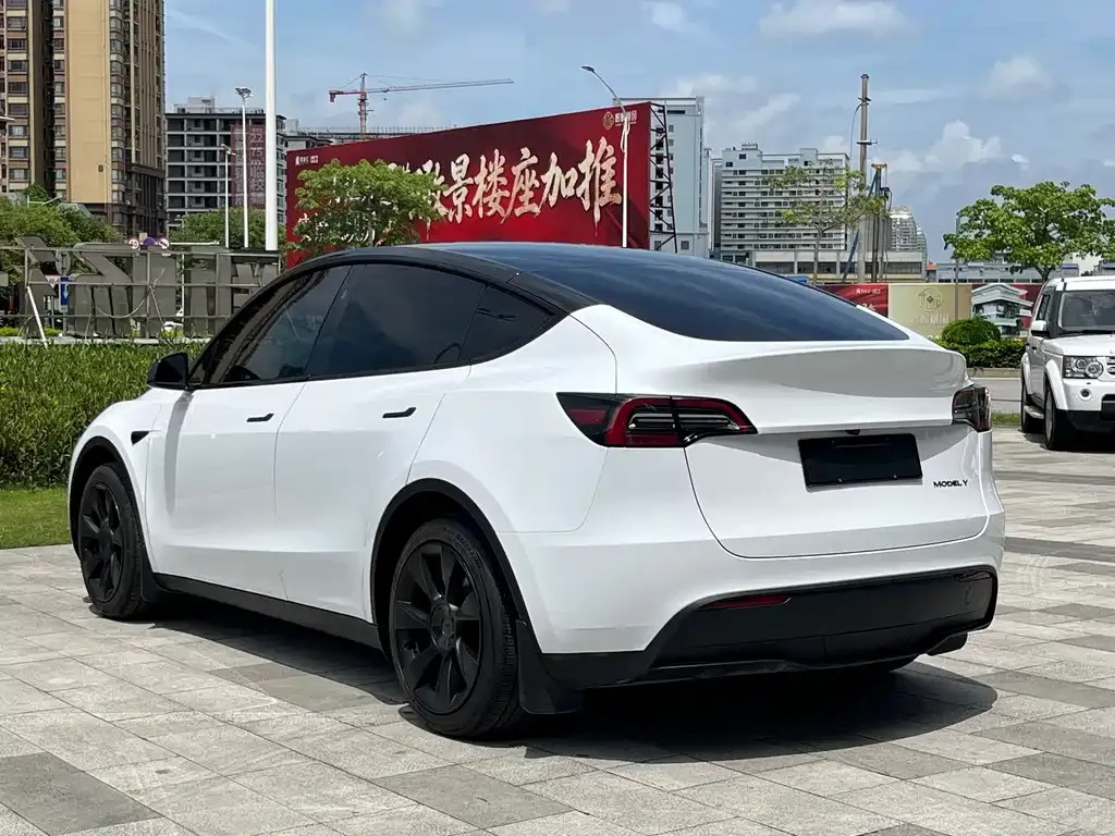 Tesla Model Y — фото 10