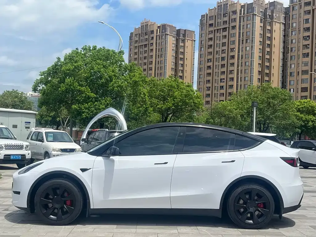 Tesla Model Y — фото 8
