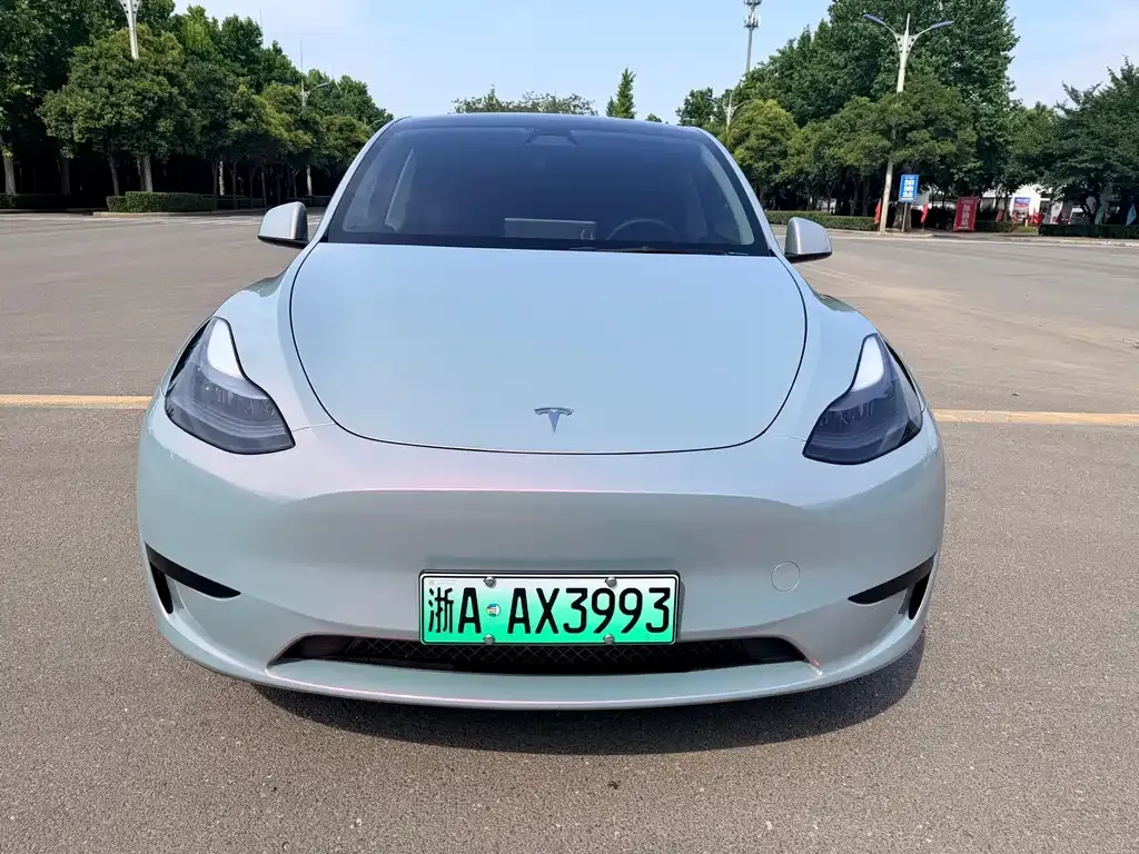 Tesla Model Y — фото 3