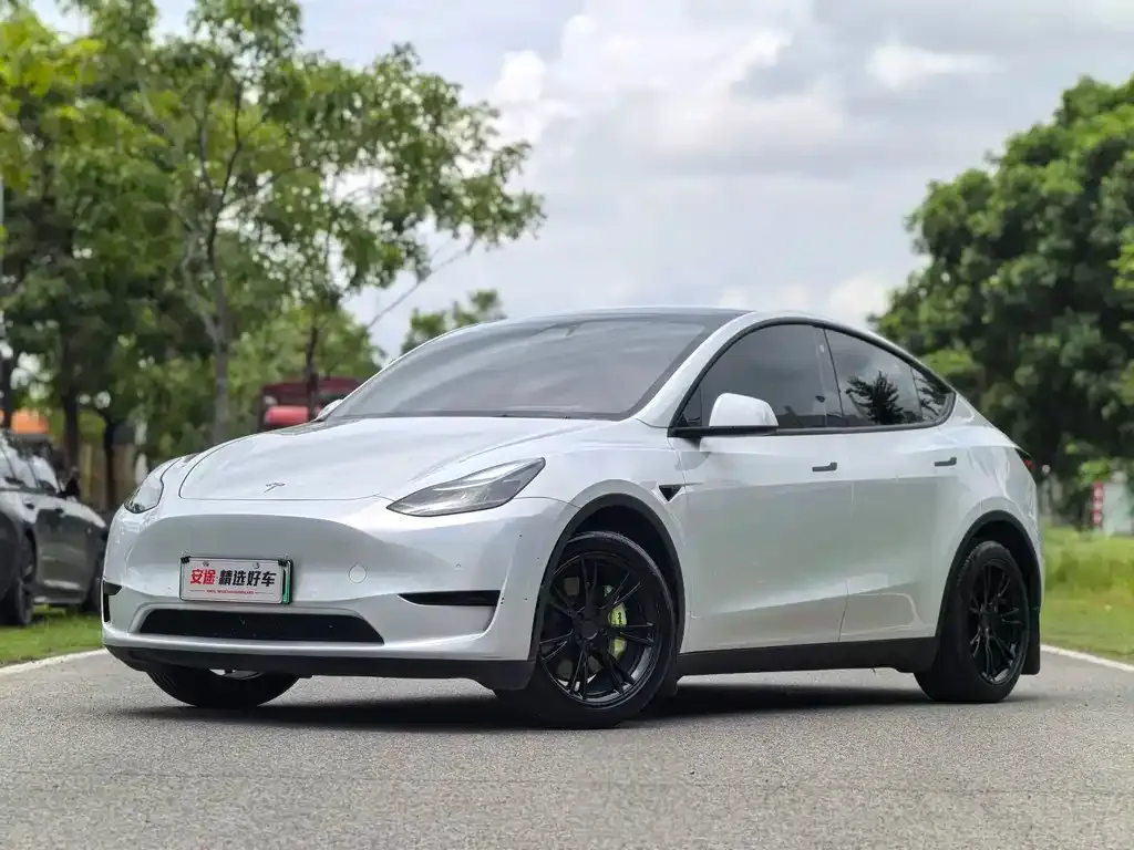 Tesla Model Y — фото 1