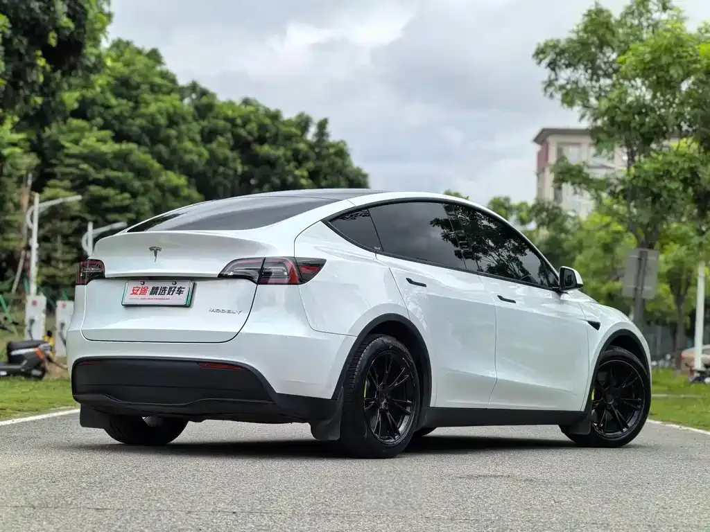 Tesla Model Y — фото 5