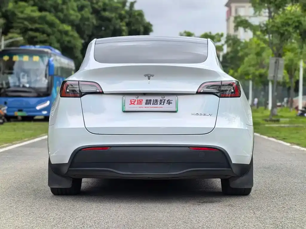 Tesla Model Y — фото 9