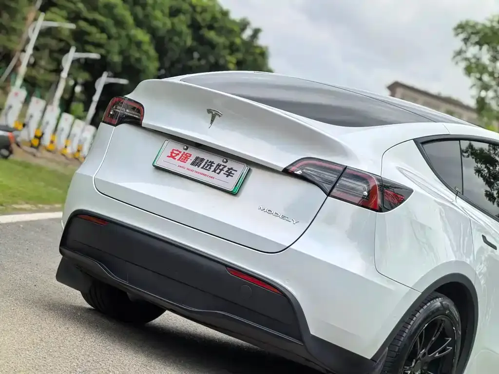 Tesla Model Y — фото 6