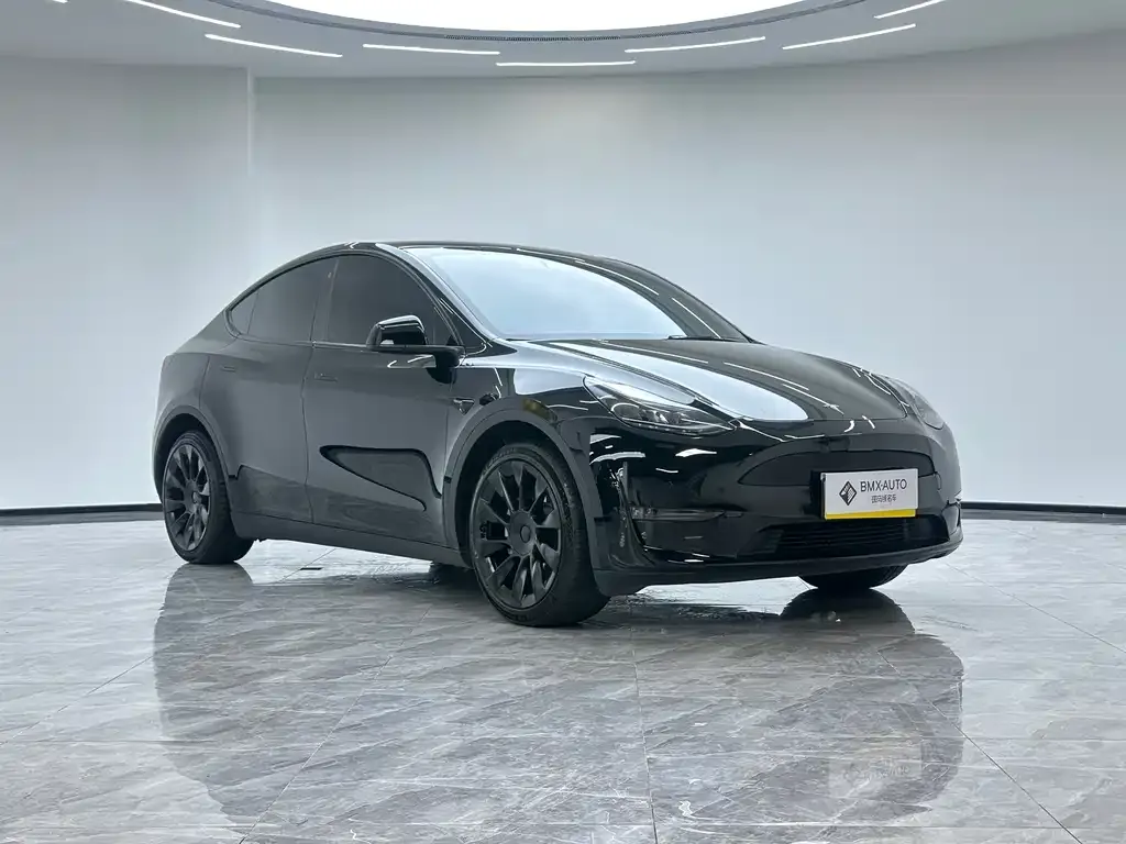 Tesla Model Y — фото 9