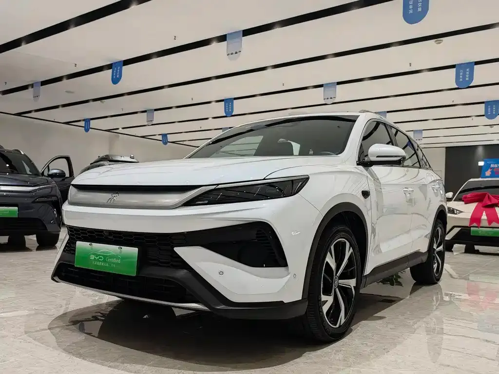 BYD Pro New Energy — фото 1