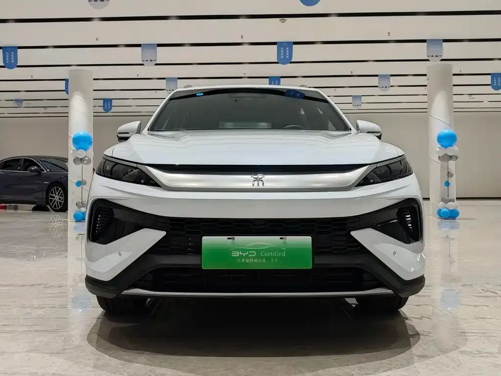 BYD Pro New Energy — фото 10