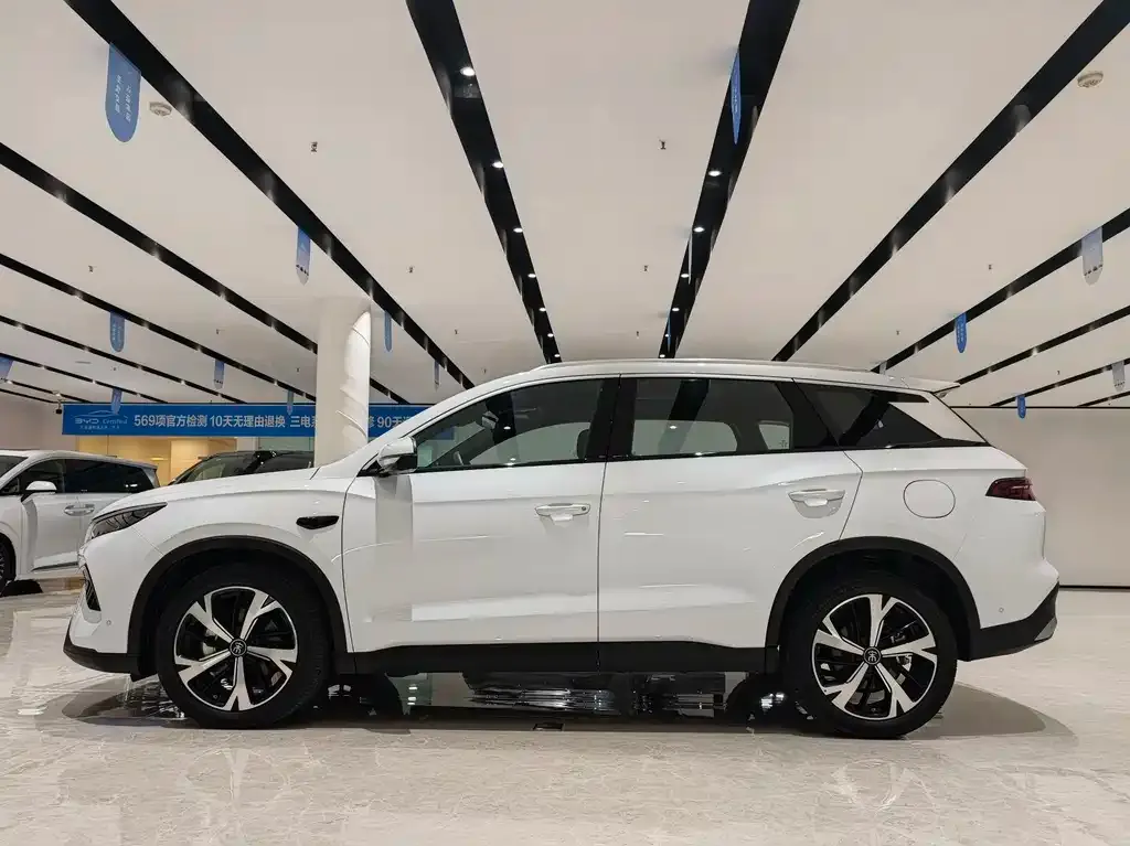 BYD Pro New Energy — фото 2