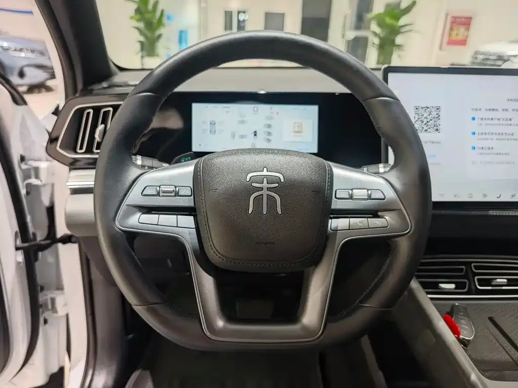 BYD Pro New Energy — фото 3