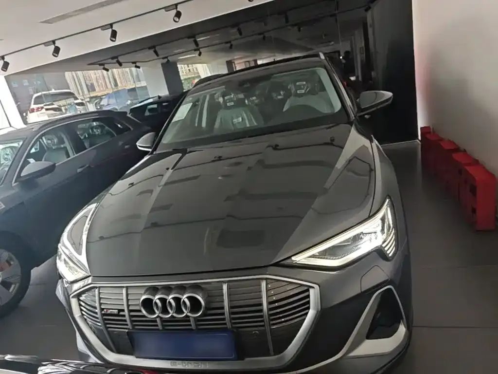 Audi e-tron — фото 10