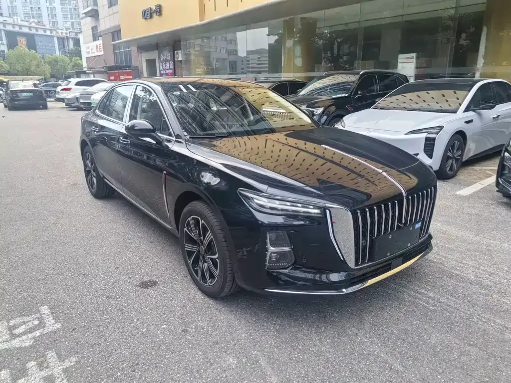 Hongqi H5 PHEV — фото 9