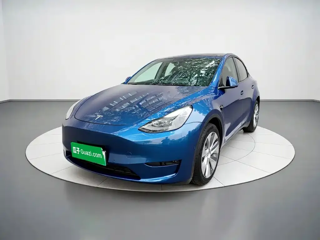 Tesla Model Y — фото 1