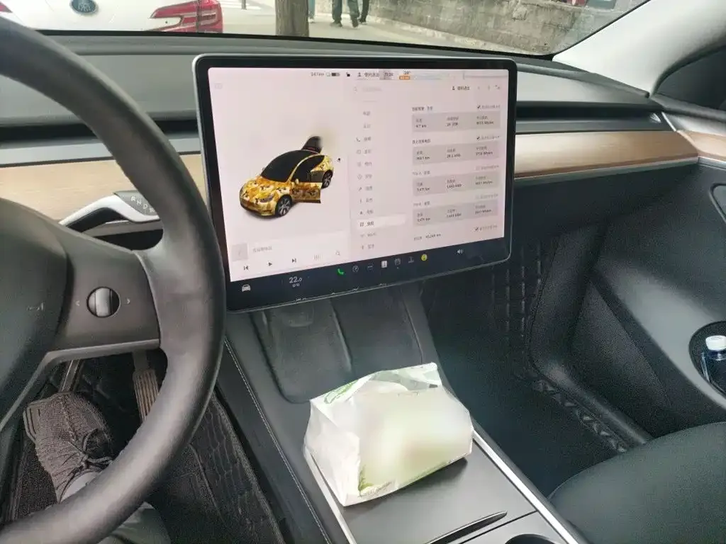 Tesla Model Y — фото 10