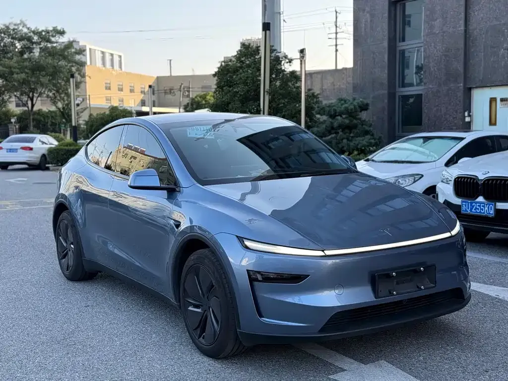 Tesla Model Y — фото 9