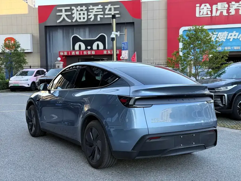Tesla Model Y — фото 10