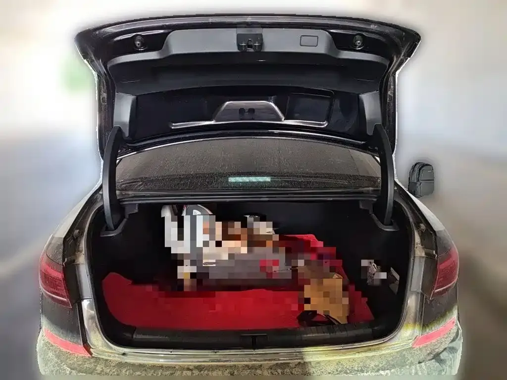 Volkswagen Passat — фото 2
