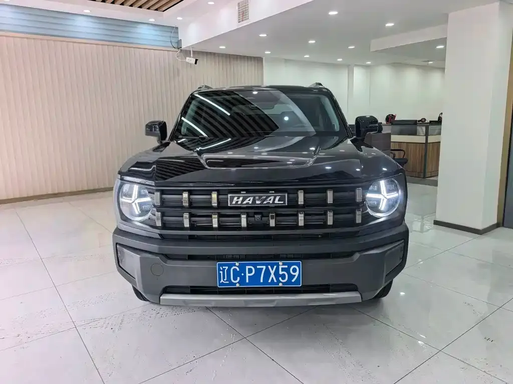 Haval Cool Dog — фото 10