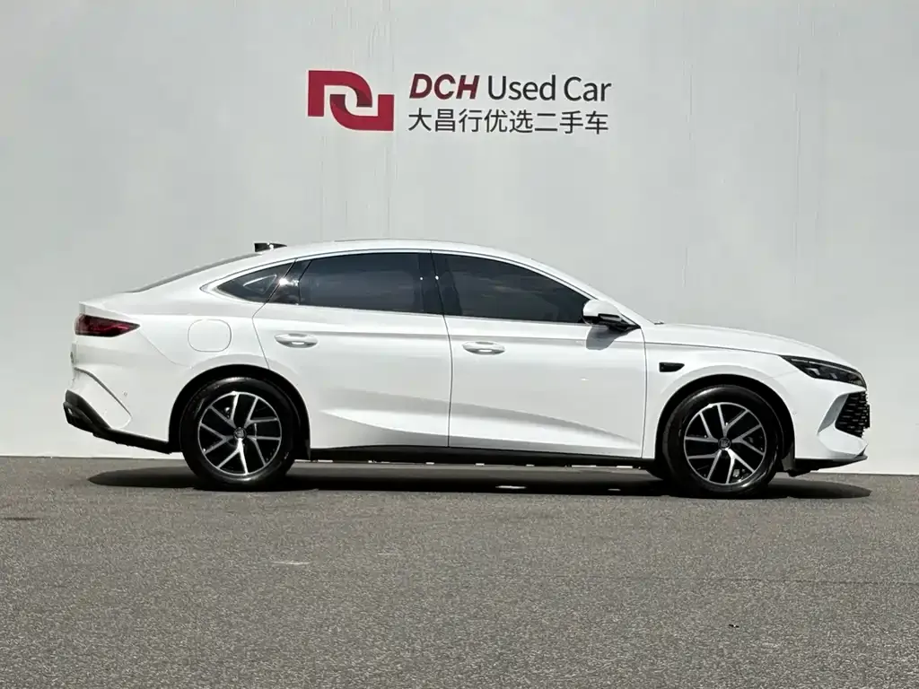BYD Qin L — фото 4