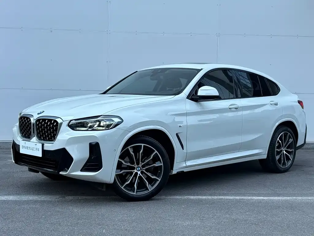 BMW X4 — фото 1