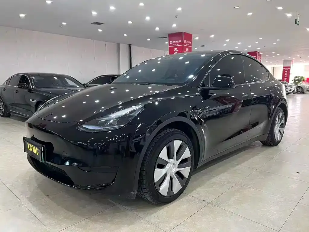 Tesla Model Y — фото 1