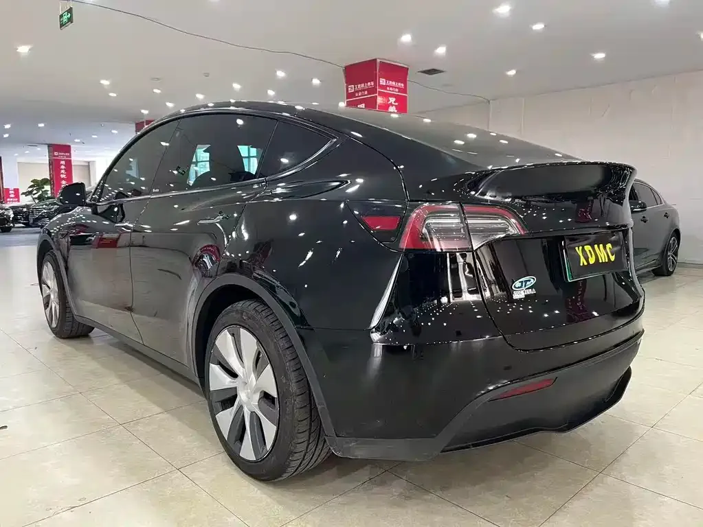 Tesla Model Y — фото 3