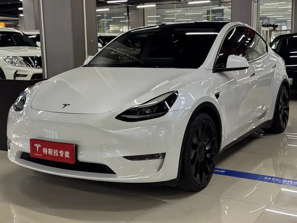 Tesla Model Y — фото 1