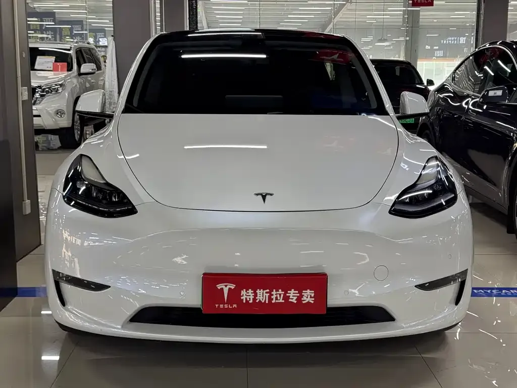 Tesla Model Y — фото 8