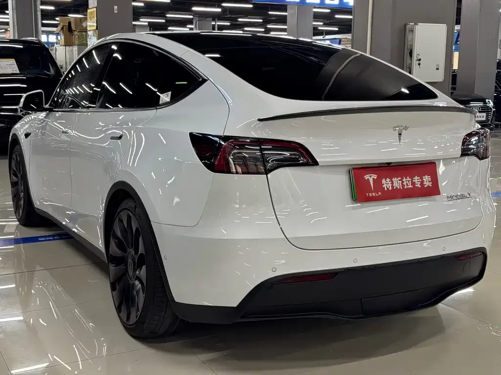 Tesla Model Y — фото 9