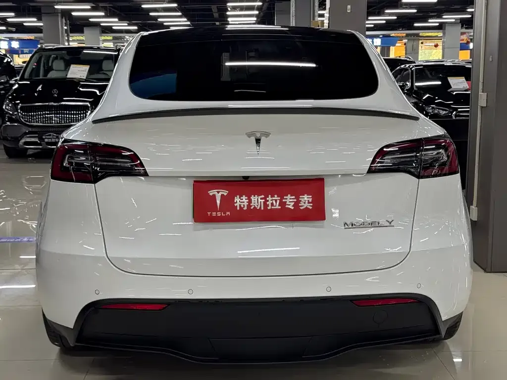 Tesla Model Y — фото 10