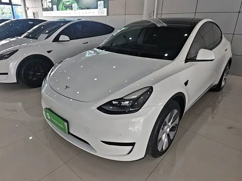 Tesla Model Y — фото 9