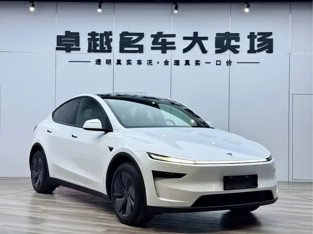 Tesla Model Y — фото 10