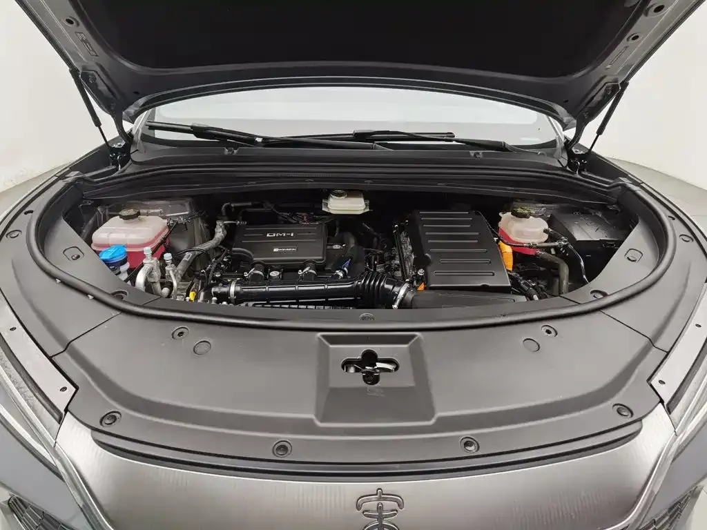 BYD L DM-i — фото 6