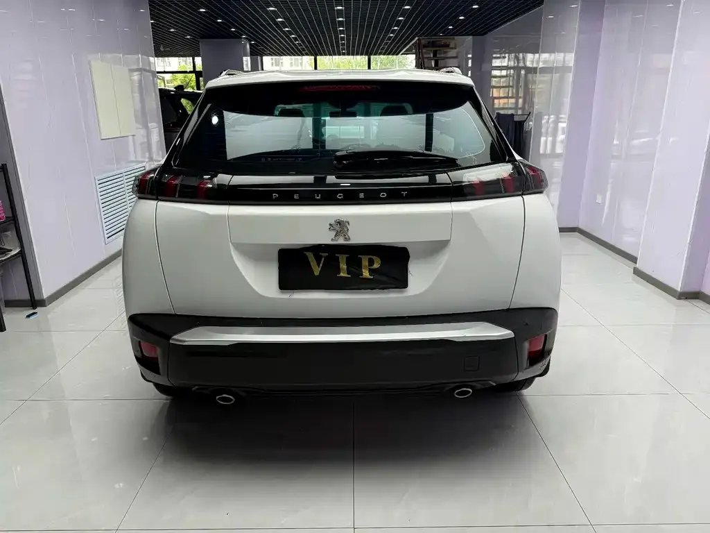 Peugeot 2008 2022 из CN, фото 7
