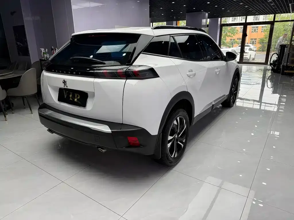 Peugeot 2008 2022 из CN, фото 5