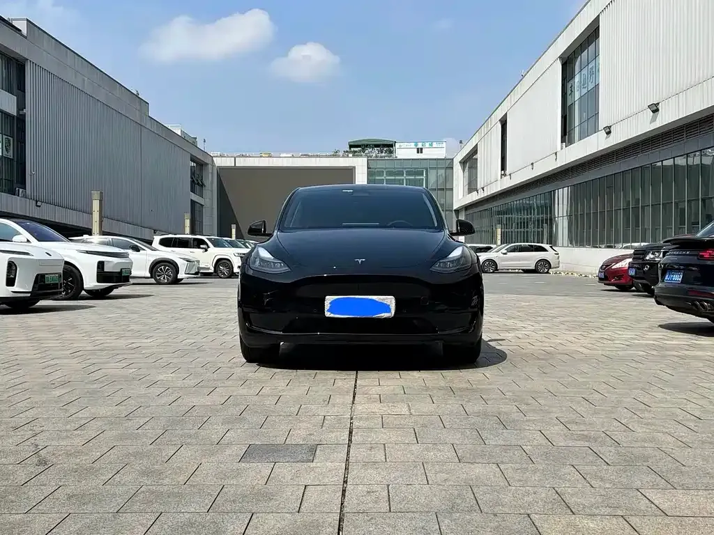 Tesla Model Y — фото 10