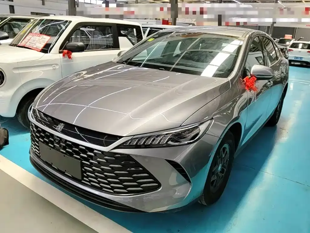 BYD Qin PLUS — фото 1