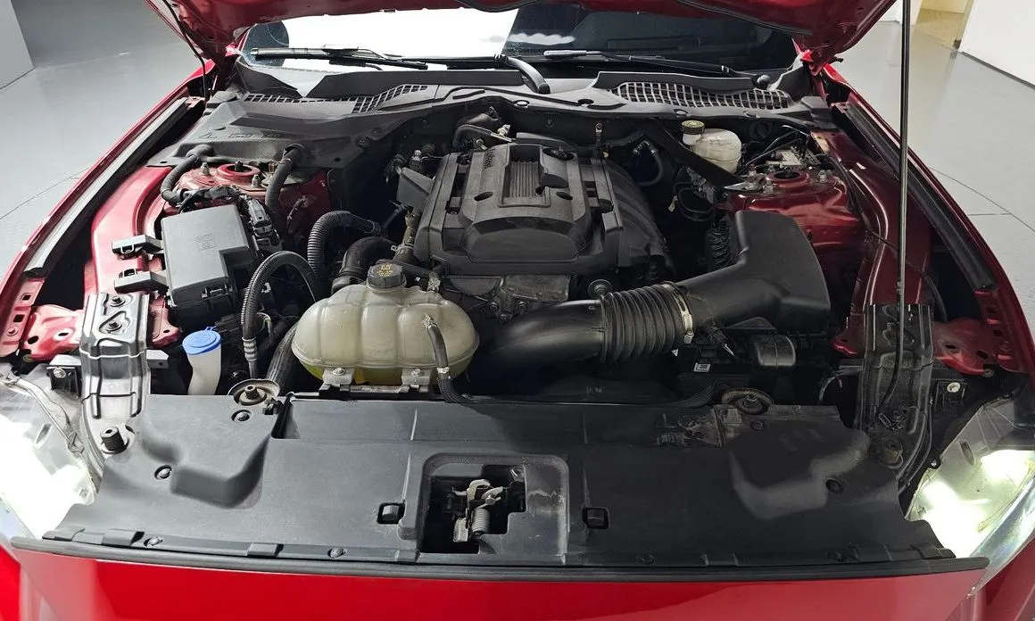 Ford Mustang 2022 из KR, фото 4