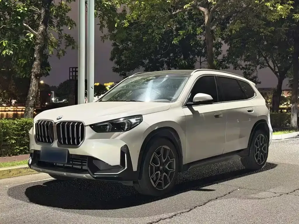 BMW X1 — фото 1