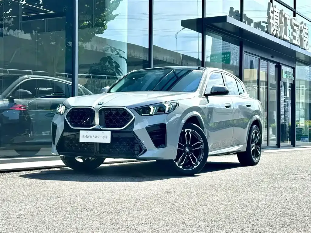 BMW X2 (Import) — фото 1