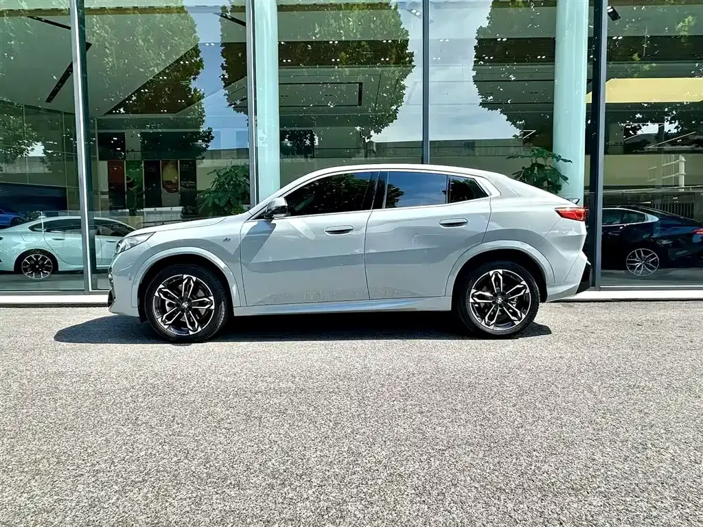 BMW X2 (Import) — фото 10