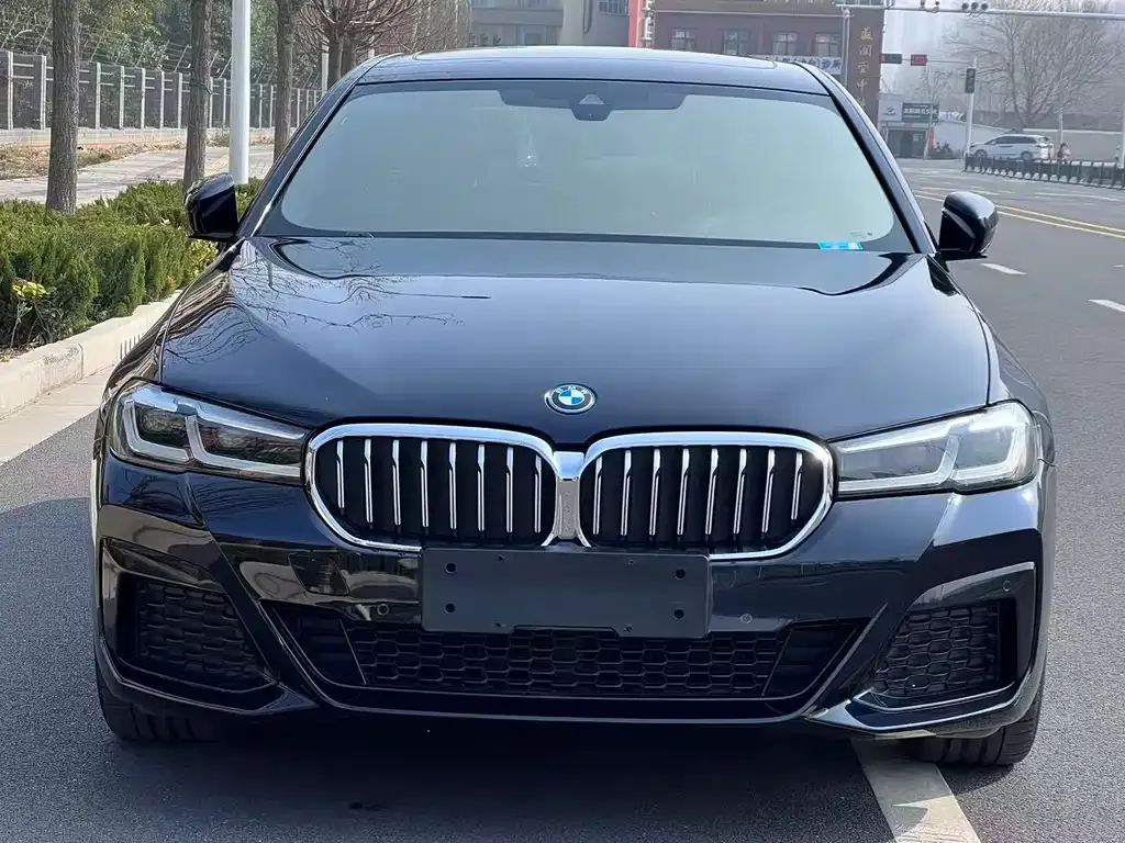 BMW 5 Series New Energy — фото 6