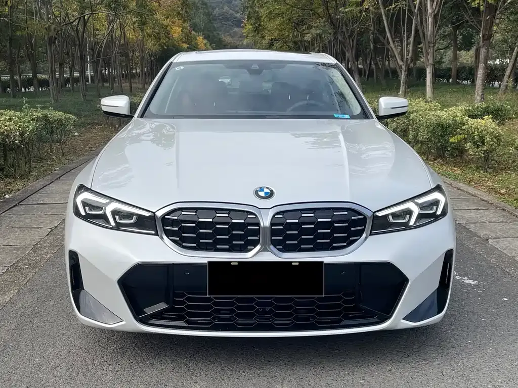 BMW 3 Series 325Li M Sport 1