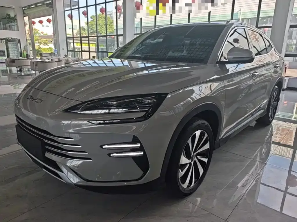 BYD PLUS New Energy — фото 1