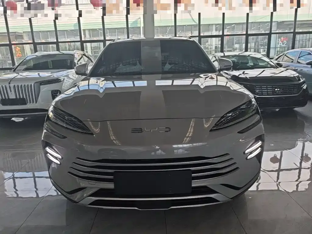 BYD PLUS New Energy — фото 8