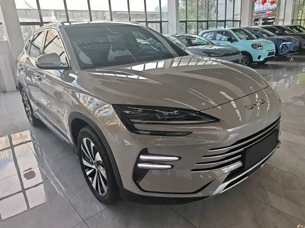 BYD PLUS New Energy — фото 6