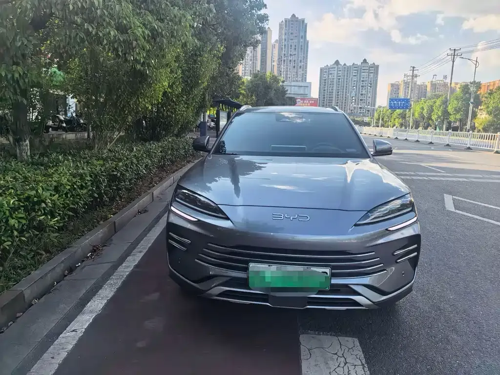 BYD PLUS New Energy — фото 9